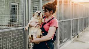 Amor que cura: 10 motivos transformadores para adotar um cão ou gato