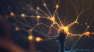 Oportunidade na UFRGS: Inscrições abertas para o tradicional Curso de Neurociências