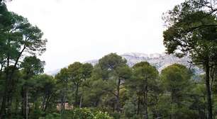 Um engenheiro espanhol reflorestou 5.000 hectares da Sierra Espuña, disparando sementes com uma espingarda; 135 anos depois, é um gigantesco Parque Regional