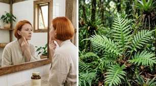 Polypodium leucotomos: será que ajuda no melasma ou substitui o protetor solar? Veja o que esse suplemento pode fazer