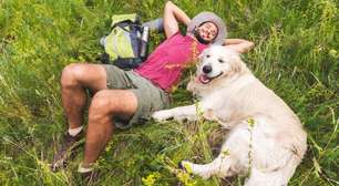 Contato com a natureza pode reduzir seu estresse? Entenda