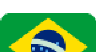 Criptomoeda meme que apoiava campanha de Flávio Bolsonaro deixa prejuízos; vídeo de crianças é retirado do ar e site removido pelo TSE
