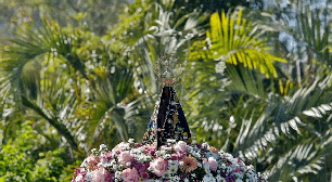 Dia de Nossa Senhora Aparecida: conheça flores para homenagear a santa