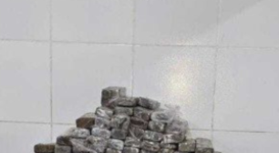 Polícia apreende 283 quilos de maconha em caminhão na Zona Norte do Recife