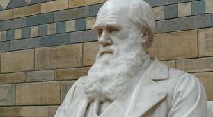 Frase sobre sobreviver pela adaptação é atribuída a Darwin, mas nasceu de uma paráfrase feita décadas depois