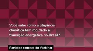 Webinário debate avanço da litigância climática