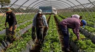 Crise de água na Espanha ameaça abastecimento agrícola da Europa