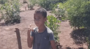 Mulher mata o próprio filho de 8 anos ao arremessar faca contra a mãe durante discussão