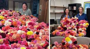 Enfermeira leva 850 flores cultivadas em casa a pacientes internados e transforma gesto em uma corrente de carinho que mobiliza a comunidade