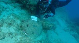 A impressionante descoberta do naufrágio mais antigo do mundo na costa da Turquia
