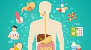 Motor da vida: como entender e acelerar o seu metabolismo?
