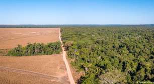Futuro do meio ambiente e do clima no planeta depende das eleições no Brasil
