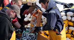 Aquecimento do Mar Adriático e sobrepesca ameaçam sardinhas