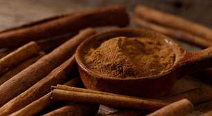 Conheça o Poder da Canela e Como Usá-la para Prosperidade