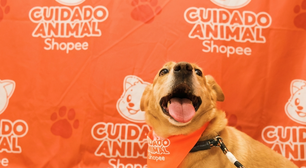 Shopee e Ampara Animal fazem mutirões gratuitos de saúde pet