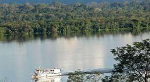 Amazônia e Cerrado têm menores taxas de desmatamento da série histórica
