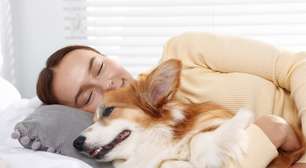 Seu cachorro divide a cama com você, mas será que dormir com ele atrapalha o sono? Estudo investigou o hábito e descobriu quem costuma se mexer primeiro durante a noite