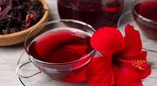 Guia dos chás: Confira os benefícios da camomila, chá verde, hortelã e hibisco