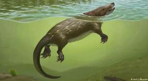Descoberto mamífero do Jurássico que conviveu com dinossauros
