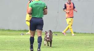 Cachorro invade campo e quase marca gol em jogo do Vasco Sub-15