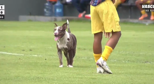 Cachorro invade campo e quase faz gol pelo Vasco