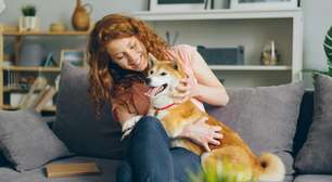 Ter um cachorro faz você viver mais? Ciência revela impacto surpreendente na saúde do coração