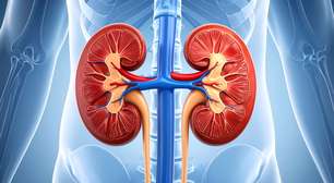 Cálculo renal: Conheça 5 alimentos que são prejudiciais aos rins