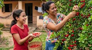 Você já sabe que a acerola é rica em vitamina C. Agora, descubra o que mais essa fruta oferece, se engorda e como consumi-la melhor