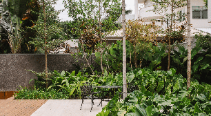 Quer um jardim mais exuberante? Saiba como utilizar filodendros no paisagismo
