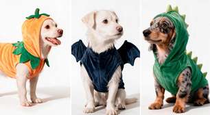 Petlove aposta em Halloween para pets com conforto e diversão