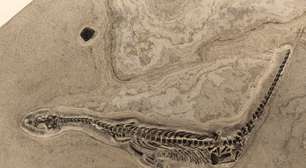 O fóssil de dinossauro mais completo do mundo revela detalhes que surpreenderam cientistas