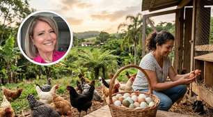 Ovos orgânicos: o que muda quando a galinha tem acesso ao pasto