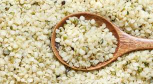 Proteína de Cannabis: conheça a semente nutritiva de cânhamo que está dando o que falar