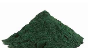 Spirulina: alga rica em nutrientes que pode ajudar no combate à anemia