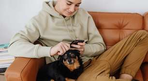 Pesquisas mostram que a convivência com cães de estimação pode aliviar a ansiedade e o estresse em adolescentes