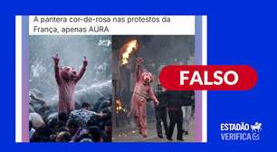 Imagens da Pantera Cor-de-Rosa protestando na França foram geradas por inteligência artificial