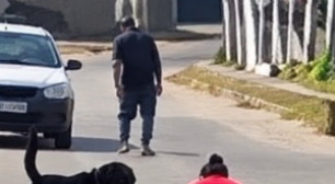 Criança de 3 anos e avó são atacadas por rottweiler na Mata Sul de Pernambuco; vítimas foram hospitalizadas