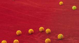 A presença de Staphylococcus aureus amplifica a toxicidade das nanopartículas de óxido de zinco nas células da pele