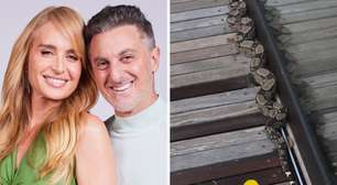 Luciano Huck se 'desespera' ao encontrar cobra venenosa em casa: 'Não foi convidada'