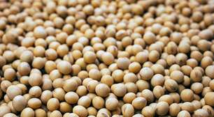 Receitas veganas: busca por pratos sem origem animal cresce 60% em 2026