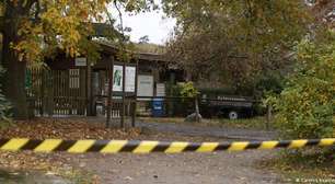 Menina de 8 anos é atacada por lobo em zoológico na Alemanha