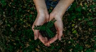 Future Climate abre a conta de restaurar 12 mil hectares