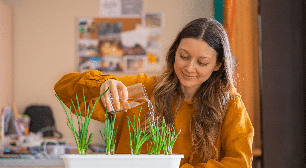 Horta em apartamento: 5 temperos para cultivar em vasos mesmo com pouco espaço