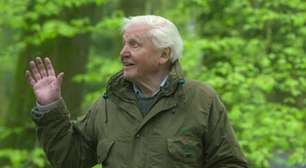 David Attenborough faz 100 anos com uma paixão viva pela natureza: como o contato com o verde protege a mente e favorece a longevidade?