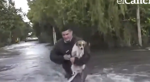 Repórter interrompe transmissão ao vivo para salvar cachorro que estava sendo arrastado por correnteza