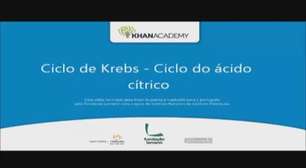Ciclo de Krebs - Ciclo do ácido cítrico