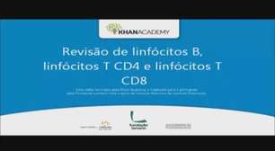 Revisão de linfócitos B, linfócitos T CD4 e linfócitos T CD8