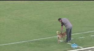 Cachorro faz a alegria de técnico em jogo no Nordeste