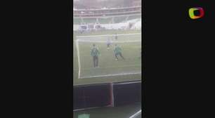 Leitor filma Palmeiras no Allianz Parque; envie seu vídeo