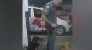 Carente! Cão pede carinho de policial e vira hit por fofura